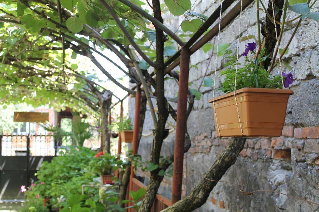 The Kiwi House Hotel ลาโกเดคี ภายนอก รูปภาพ